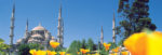 The Sultan Ahmet Blue Mosque in Istanbul.