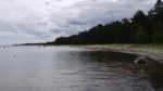 The tranquil coastline of Lahemaa, Estonia. Photo credit: Martin Klimenta