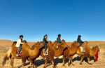 Camel riding in Mongolia. Photo credit: Michel Behar