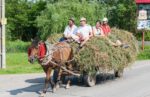 Enjoying a ride through the Romanian countryside. Photo credit: David W. Allen