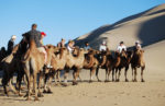 Camel ride in the Mongolian desert. Photo credit: Tia Low.