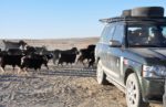 Driving near Darvaza. Turkmenistan. Photo credit: Russ Cmolik & Ellen Cmolik