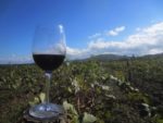 Savoring wine straight from the source in Georgian wine country. Photo credit: Norman Leaper