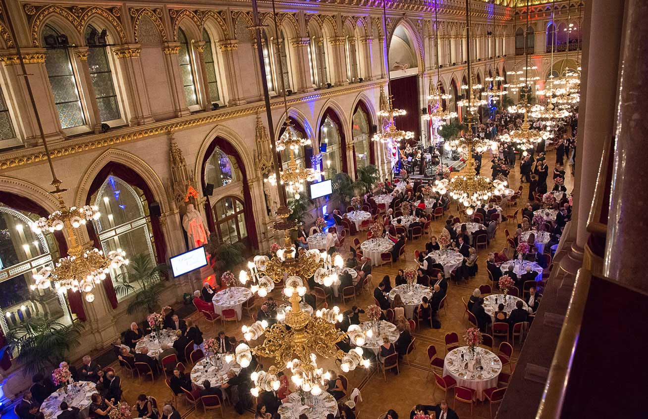 New Year’s in Vienna by Private Train