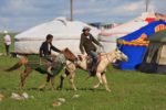 Horsemanship is a Mongolian tradition and skill handed down from generation to generation. Photo credit: Helge Pedersen