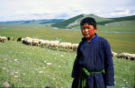 Visit with nomadic herders in the heart of Mongolia. Photo credit: Peter Guttman