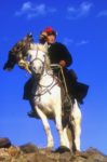 A fine day to fly, at the Eagle Festival in Bayan-Ulgii, Mongolia. Photo credit: P. Oxford