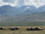 Lovely Kyrgyz countryside. Photo credit: Joanna Millick