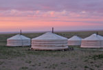 Gers on the Mongolian steppe at sunset. Photo credit: Andrew Barron