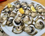 Tasting fresh oysters in Ston, Croatia. Photo credit: Lisa Peterson