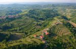 Goriska Brda – the Tuscany of Slovenia. Photo credit: arhiv ZTKMŠ Brda / www.slovenia.info