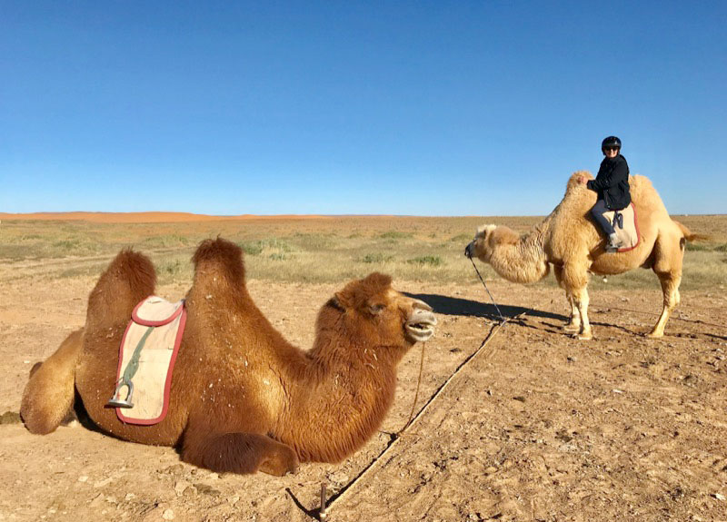 Before heading to Mongolia’s Golden Eagle Festival, we stopped in the South Gobi Desert for a camel ride. Photo: Michel Behar