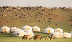 Horses grazing outside gers on the Mongolian steppe. Photo credit: Ken Spence