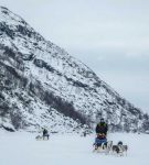 A thrilling ride behind a team of sled dogs across frozen lakes. Photo credit: Kirkenes Snow Hotel / Nevra Pictures