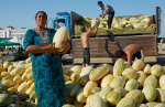 Locals unload watermelons at a local market in Ashgabat, Turkmenistan. Photo credit: Sapargylych Rahmanov
