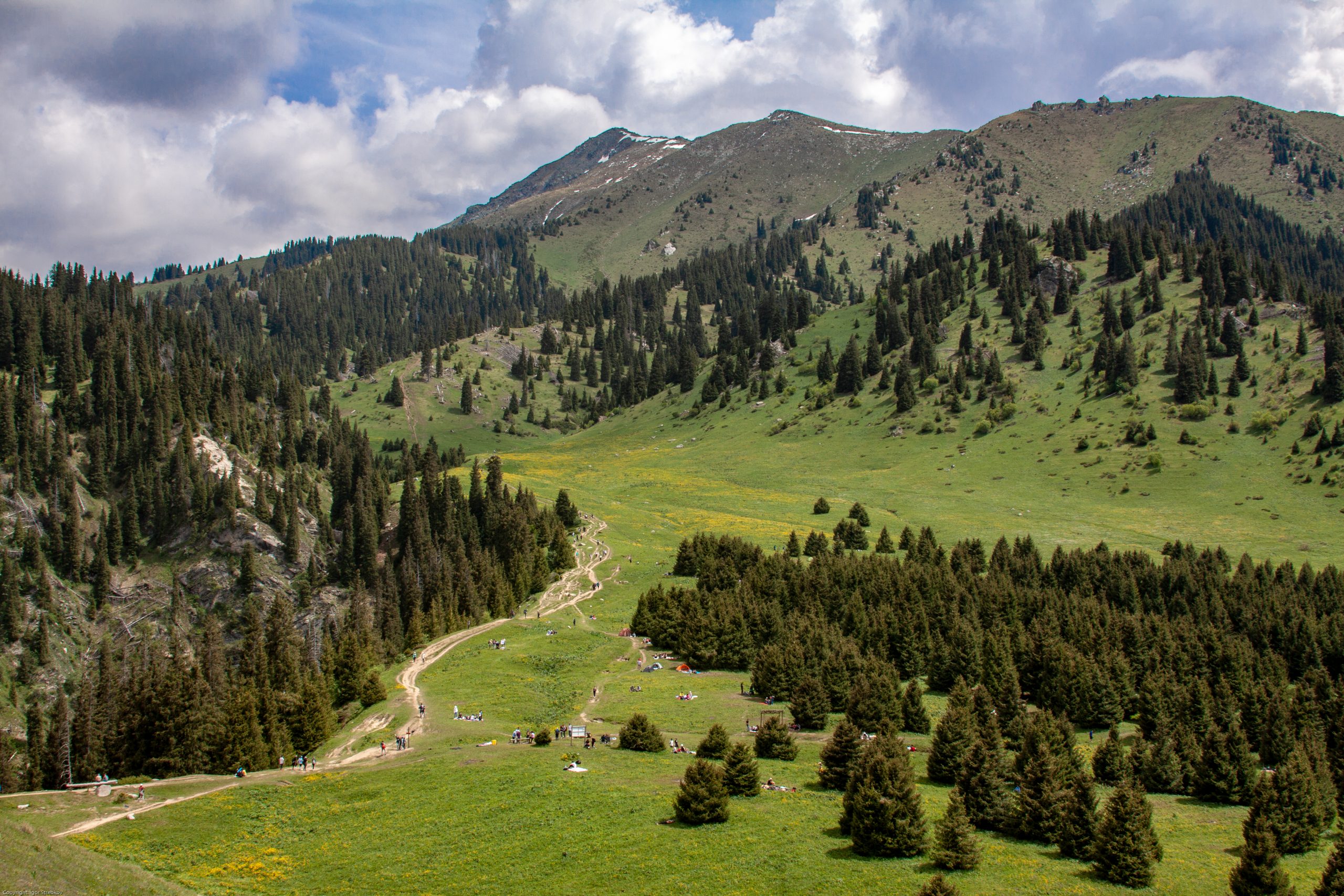 A view of Ily-Alatau National Park in Kazakhstan. Photo credit: Igor Strebkov