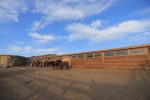 Horse stable at Three Camel Lodge, South Gobi, Mongolia.