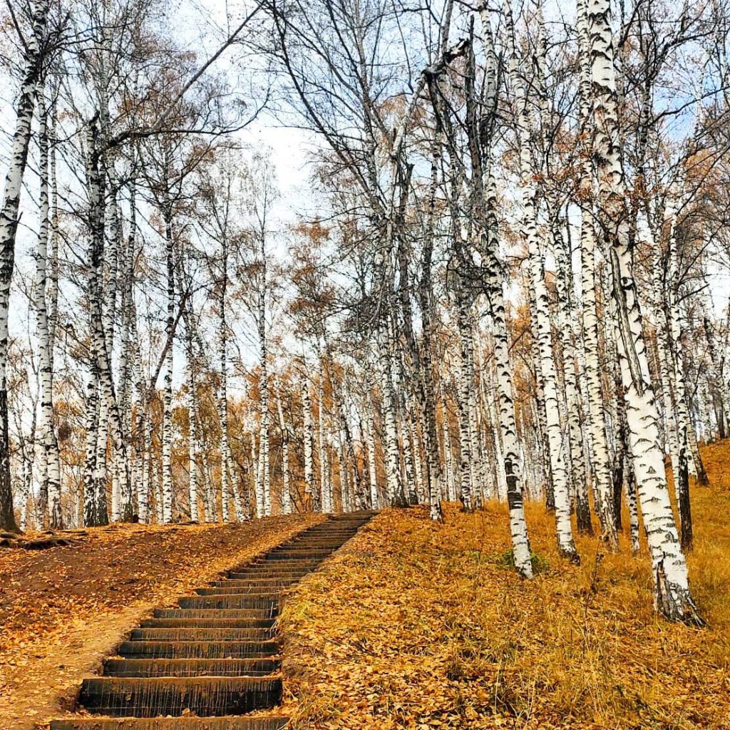 Exploring a local trail in Almaty, Kazakhstan. Photo credit: Igor Strebkov