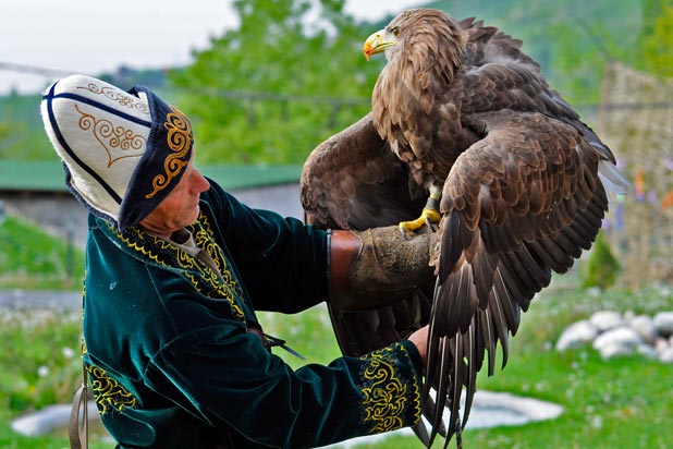 A Kazakh eagle handler offers an up-close look at his hunting companion. Photo credit: Christine Z. Anderson