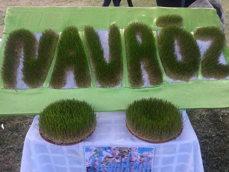 Used in sumalak, this sprouted wheatgrass spells out Navruz. Photo credit: Regina Mnatsakanian