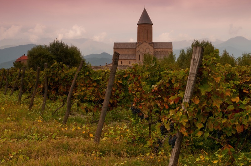 Visitors can sample wines from grapes grown in these vineyards of Georgia’s Alaverdi Monastery. Photo credit: Caucasus Travel
