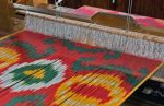 Weaving a colourful ikat pattern, popular in Uzbek silk fabrics. Photo credit: Richard Fejfar