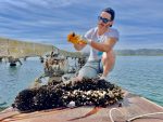Farming fresh mussels in Albania. Photo credit: Michel Behar