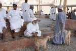 Nizwa Friday Market, Oman. Photo credit: Courtesy of Desert Adventures