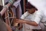 Nizwa Cattle Market