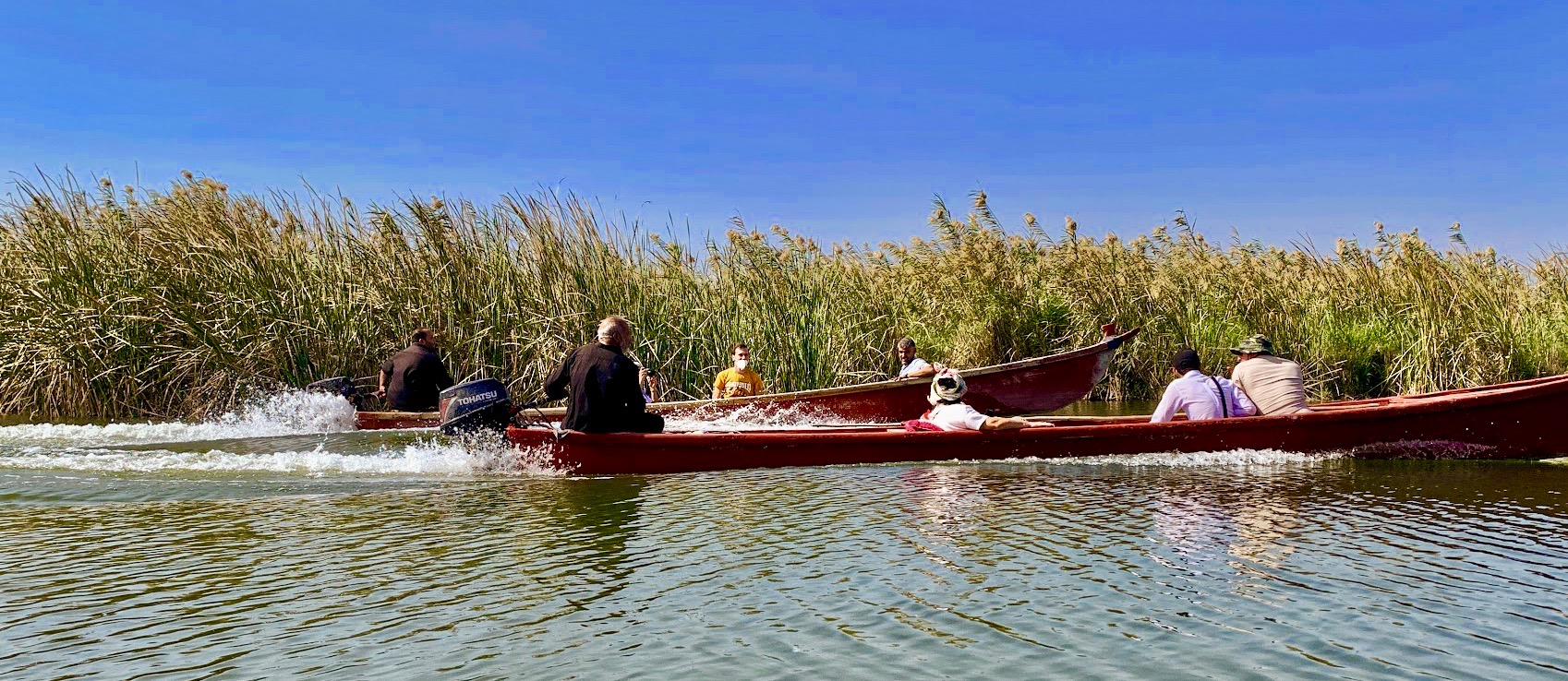 The marshes of southern Iraq, near the confluence of the Tigris and the Euphrates. Photo credit: Explore Mesopotamia