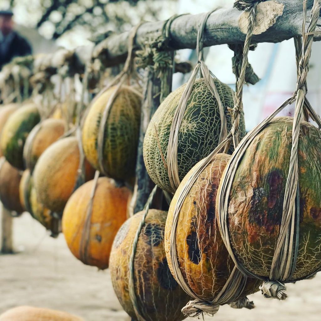 Late summer and early fall melons - a Central Asian specialty. Photo credit: Abdu Samadov