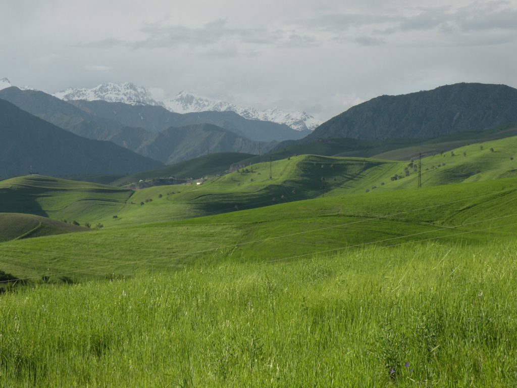 Verdant spring fields just outside of Dushanbe, Tajikistan. Photo credit: Jake Smith