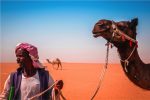 A camel and its driver in the Kuwaiti desert. Photo credit: SenuScape/Pexels