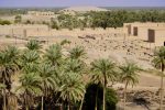 Date palms and ancient Babylon.
