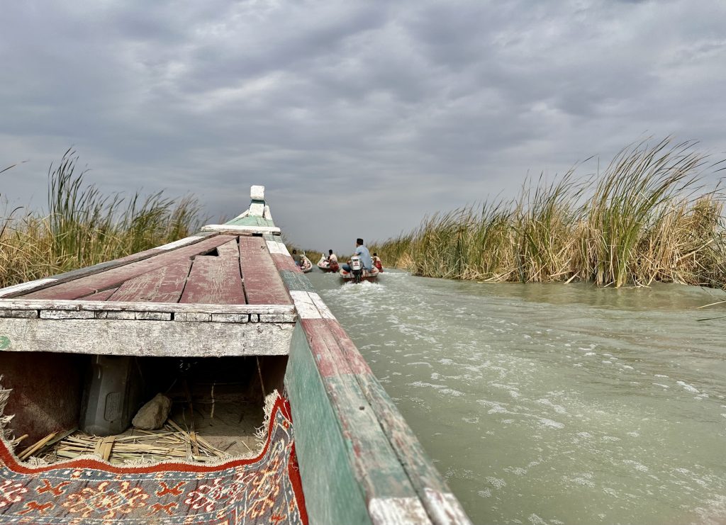 Cruising through the Mesopotamian marshes of southern Iraq. Photo credit: Michel Behar