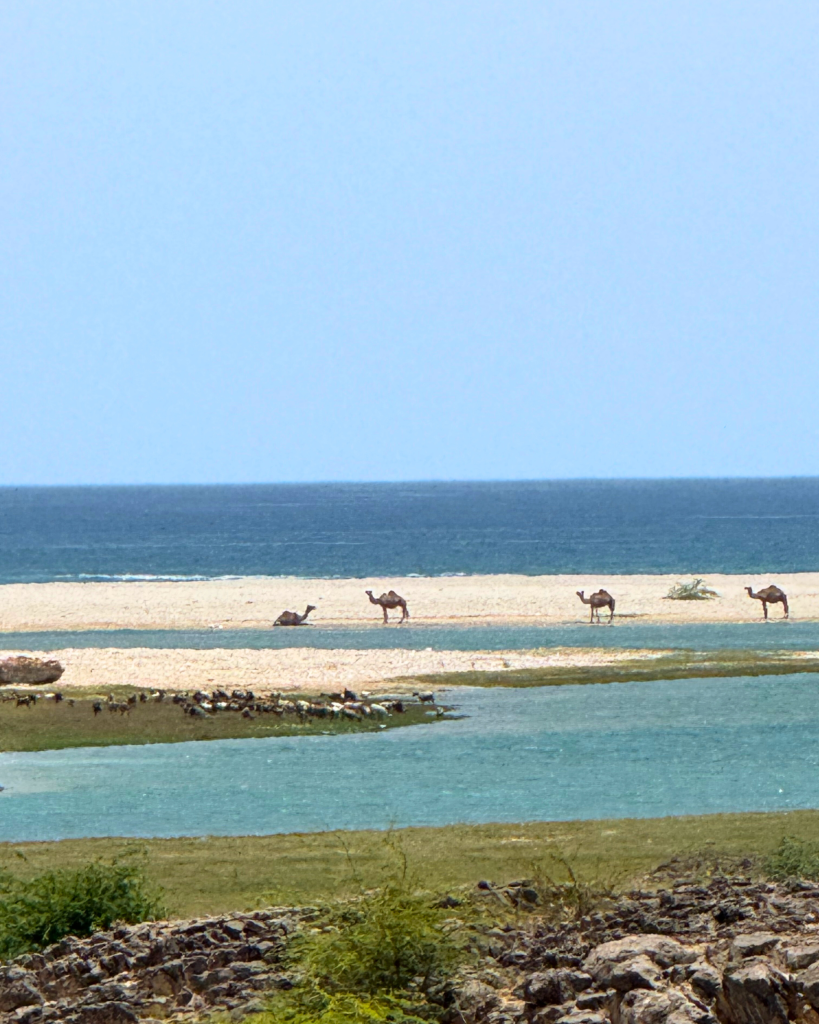 Insider Oman: Hidden Highlights from 5 MIR Experts MIR Travel
