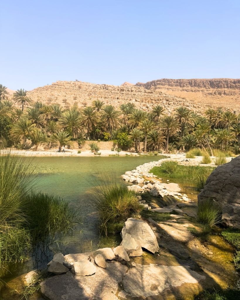 Insider Oman: Hidden Highlights from 5 MIR Experts MIR