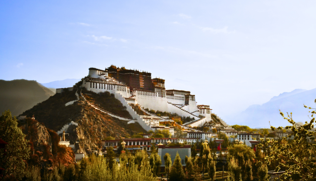 Architectural Inspiration: from Mud Bricks to Futuristic Cities | MIR corporation