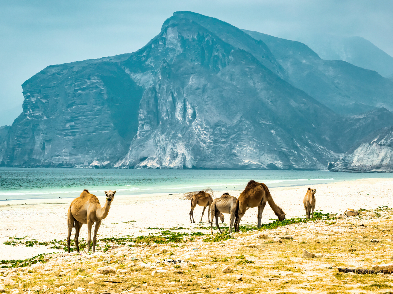 5 Under-the-Radar Destinations to Visit in 2025 | MIR corp