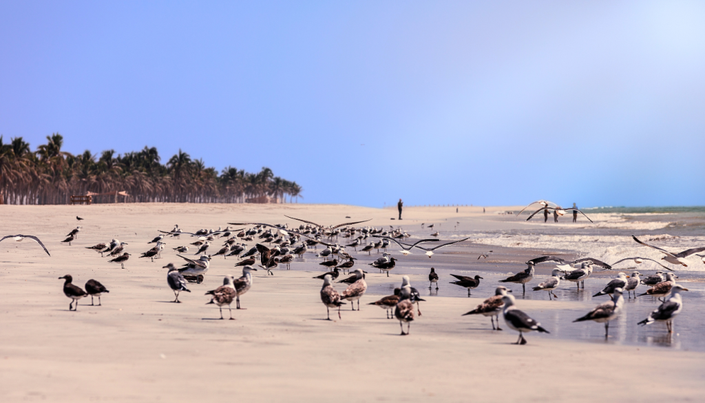 5 lesser-known Destinations to Visit in 2025 | MIR travel