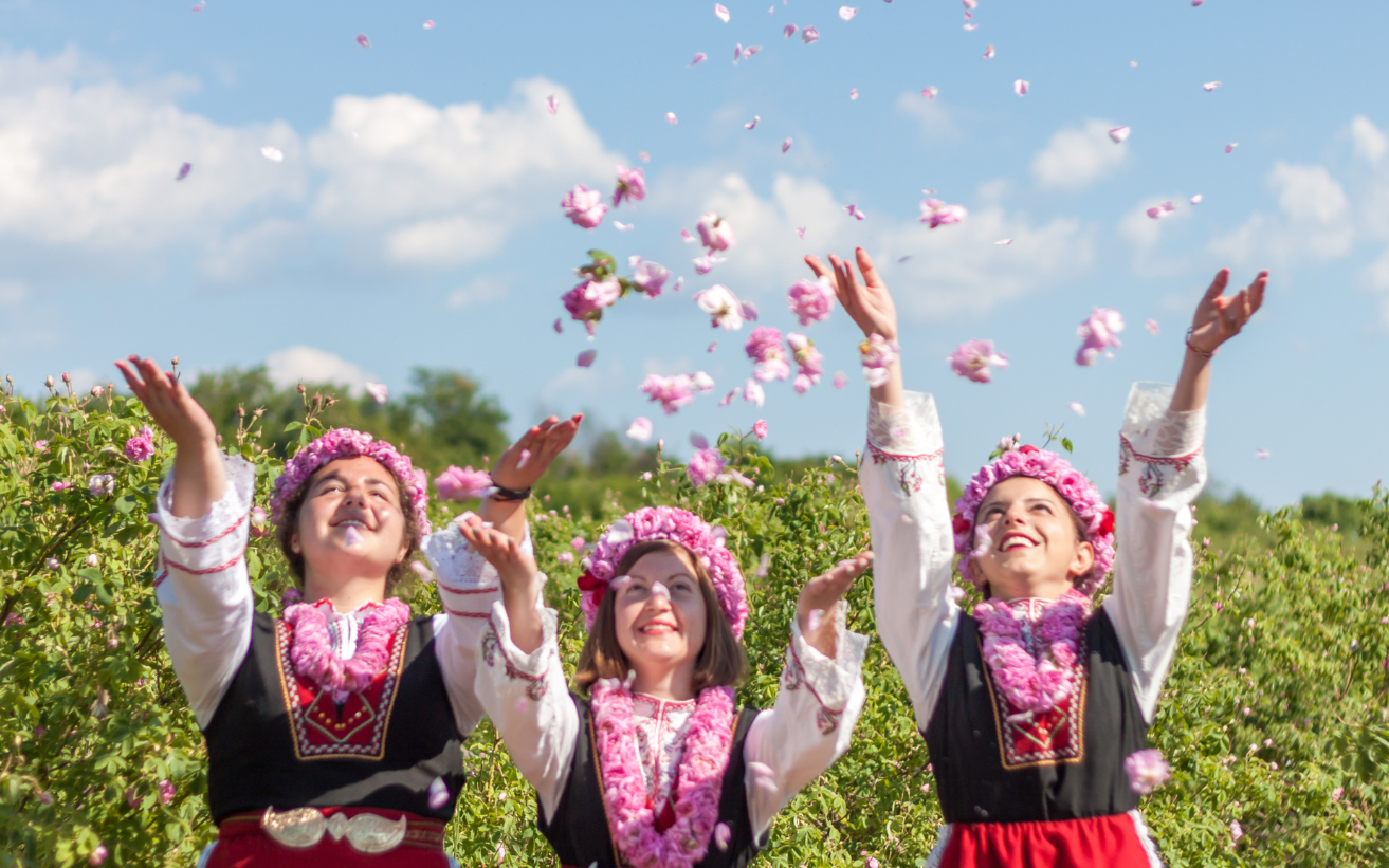 Journeys for the Culturally Curious: Where to Go Next | MIR corp