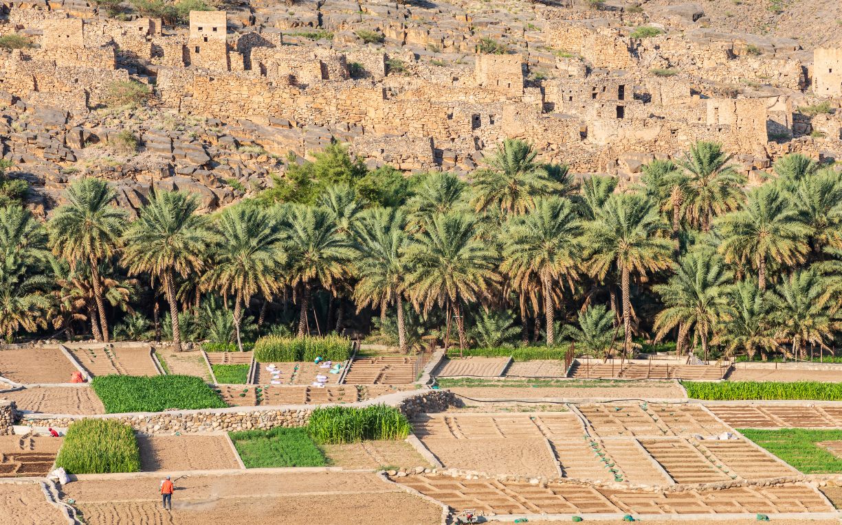 Why Your Next Trip Should Be to "Goldilocks" Countries | MIR corporation