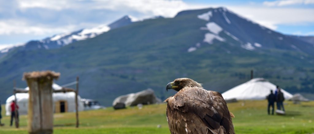 Chart Your Personal Odyssey with MIR’s Travel Designers | MIR