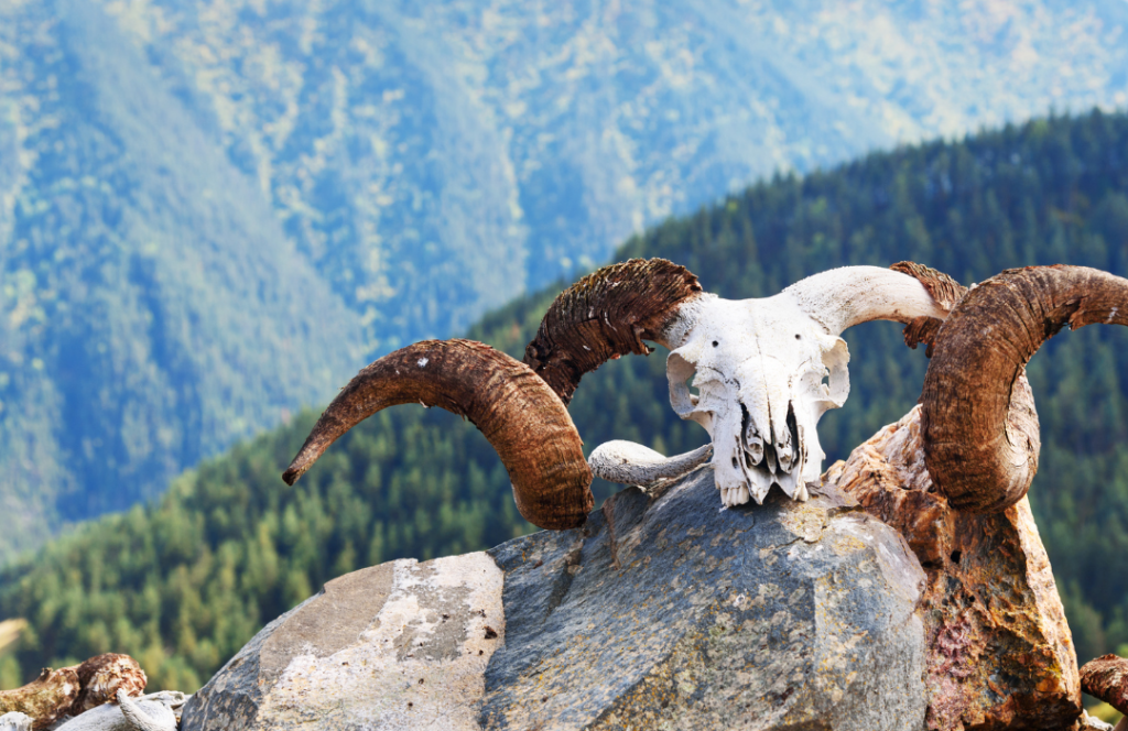 Pamir Highway: From the Tien Shan to the High Pamirs