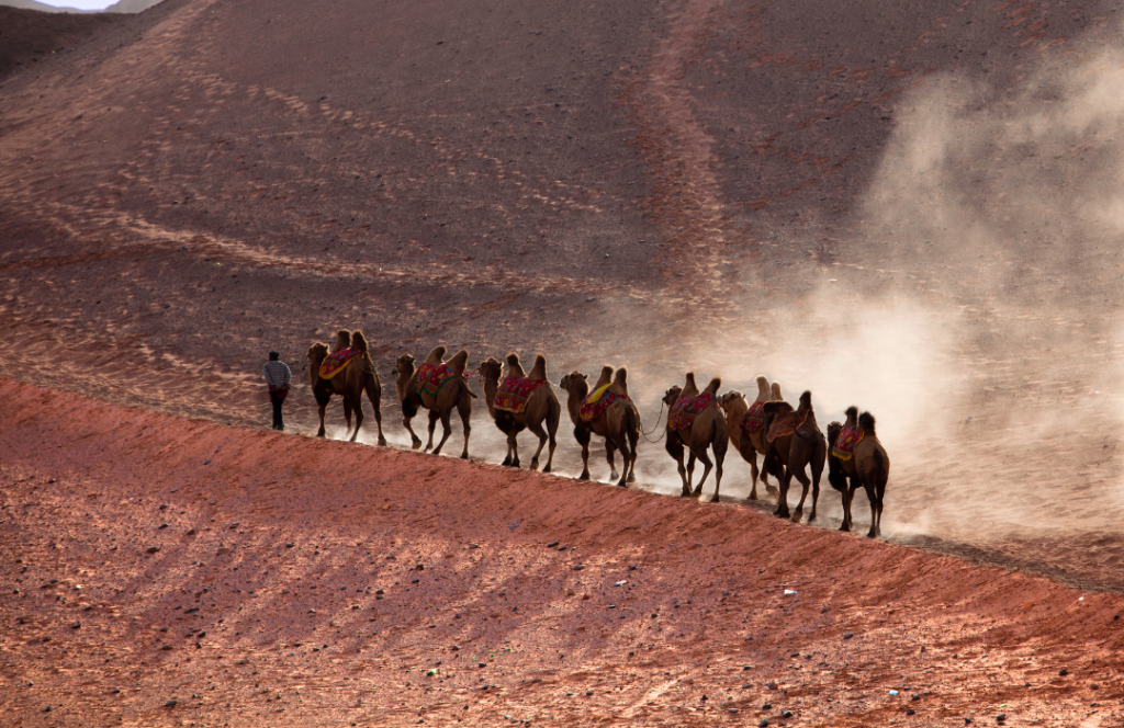 Silk Route Odyssey: Caravan Across Uzbekistan