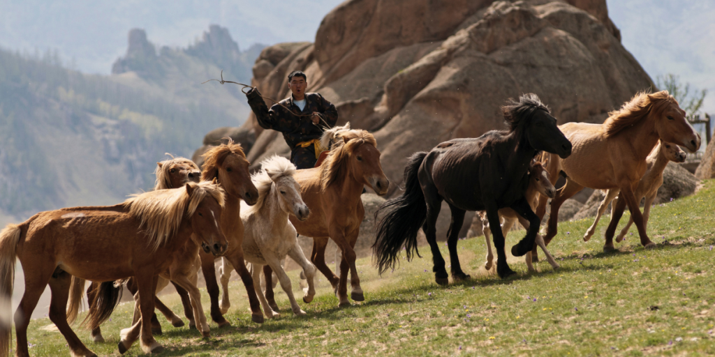 Why Mongolia Belongs on Your List | MIR