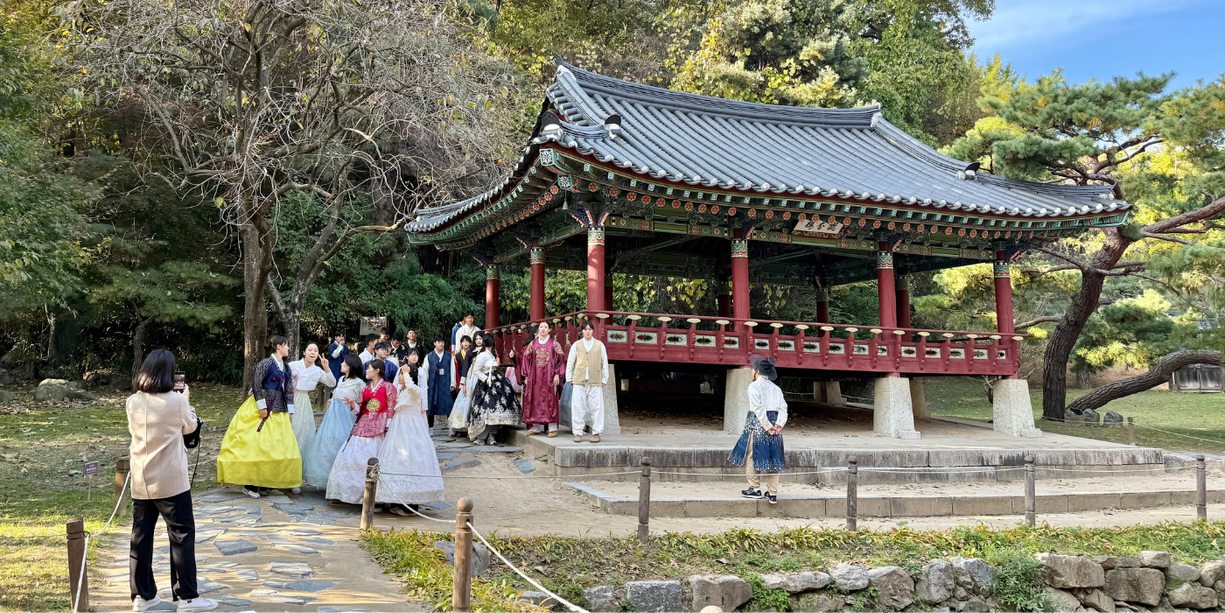 South Korea: Palaces, Markets, Tea Country, and the Coast | MIR Travel